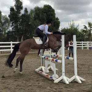 Meet your Posher, Sabina